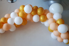 20190125_153801_resized