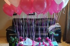 20180513_110711_resized (002)